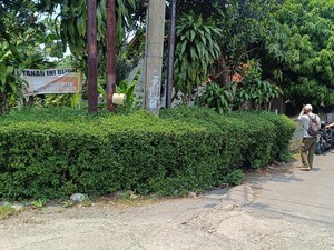 Ketua RT Ungkap Ada Luka Bacok pada Mayat Pria Tergeletak di Cibinong Bogor
