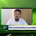 Curhat Petani Jagung, Sulit Hadapi Gulma Hingga Produktivitas Turun