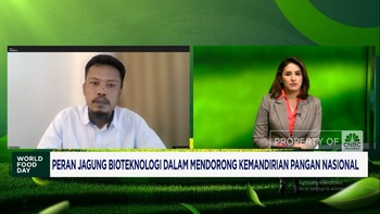 Video: Jagung Bioteknologi Bikin Produksi Petani Naik-Hemat Herbisida
