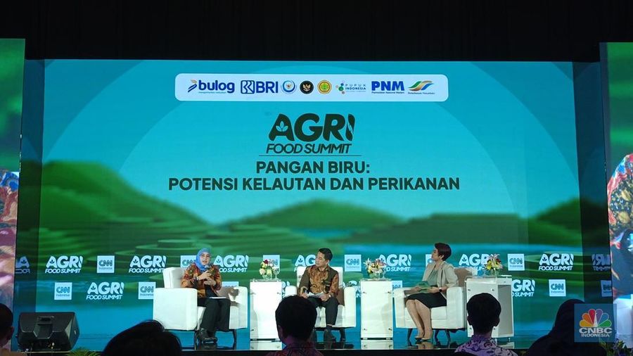 Plt. Direktur Jenderal Penguatan Daya Saing Produk Kelautan dan Perikanan (PDSPKP) KKP, Machmud dalam acara Agri Food Summit 2025 di Auditorium Menara Bank Mega, Jakarta, Kamis (16/10/2025). (CNBC Indonesia/Martyasari Rizky)