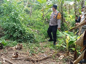 Heboh Warga OKU Selatan Temukan Tulang Belulang Manusia