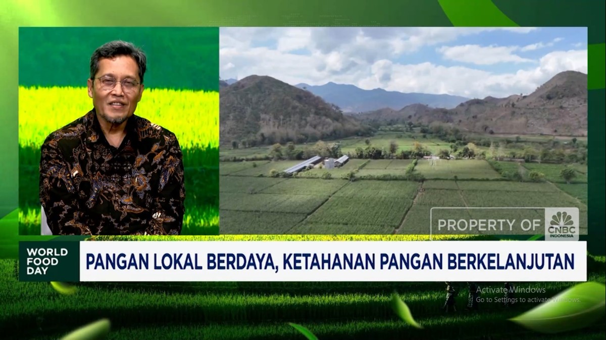 Video: Benih Unggul, Harapan RI Genjot Produksi Jagung dan Tekan Impor