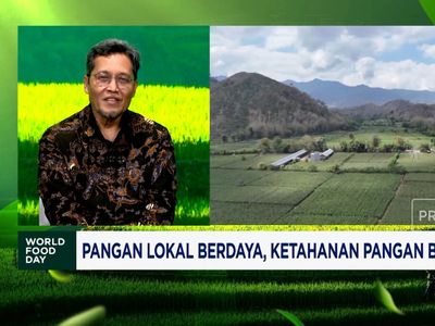 Video: Benih Unggul, Harapan RI Genjot Produksi Jagung & Tekan Impor