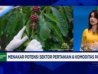 Video: Rempah & Buah RI Diburu Dunia, Tapi Produksinya Terkendala Ini