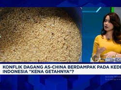 Video: RI Kecanduan Kedelai Impor, Petani Lokal "Enggan" Tanam Sendiri