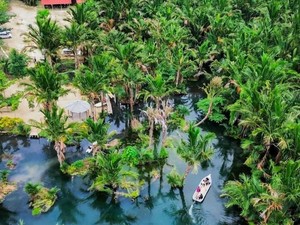 Suruan Ecopark Tuban, Wisata Alam dan Edukasi Seru di Tengah Kebun Sagu