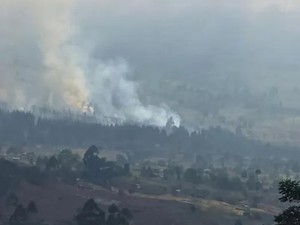 Kawasan Hutan di Gunung Rinjani Kembali Terbakar!