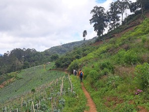 Ayah-Anak yang Hilang di Lembah Tengkorak Bandung Ditemukan!