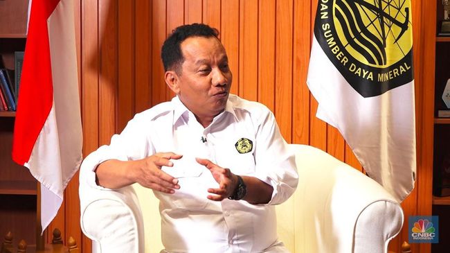 Dirjen Minerba Blak-blakan Alasan RKAB Tambang Diubah Jadi Setahun