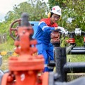 Sumur Rokan Dikelola Pakai AI, Berhasil Tahan Laju Penurunan Produksi