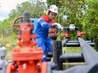 Sumur Rokan Dikelola Pakai AI, Berhasil Tahan Laju Penurunan Produksi