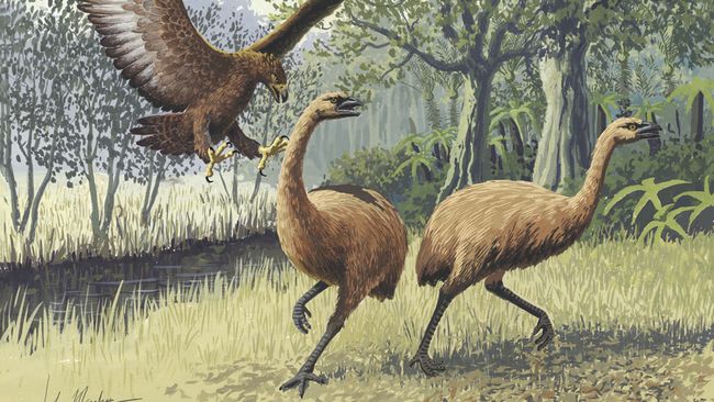 Burung Sudah Lama Mati Mau Dihidupkan Lagi
