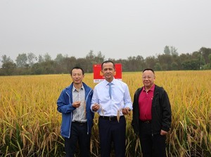 Kementrans Sebut Investor Wuhan Minat Kembangkan Kawasan Transmigran
