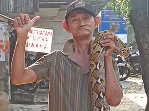 Video: Lansia Pembentang Ular di Jaktim Sebut Motor Tak Lagi Naik Trotoar