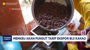 Video: Menkeu Purbaya Akan Pungut Tarif Ekspor Biji Kakao