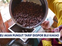 Video: Menkeu Purbaya Akan Pungut Tarif Ekspor Biji Kakao