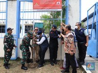 Tanda Kontaminasi Radiasi di Cikande Dicabut, Begini Status Terbarunya