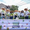 Peringati Hari Pangan Sedunia, BRI Peduli Gelar Panen Raya BRInita