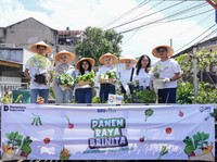 Peringati Hari Pangan Sedunia, BRI Peduli Gelar Panen Raya BRInita