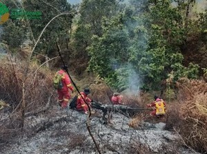 Kebakaran 10 Hektare Hutan TNGR Berhasil Dipadamkan Setelah 2 Hari