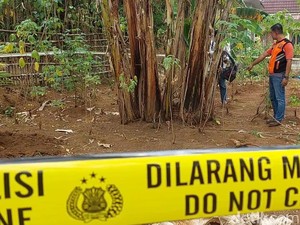 Mayat Bayi Terbungkus Handuk Ditemukan di Kebun Pisang Warga Kudus