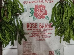Detik-detik Pemilik Kebun di Muba Tembak Pencuri Petai dengan Senapan Angin