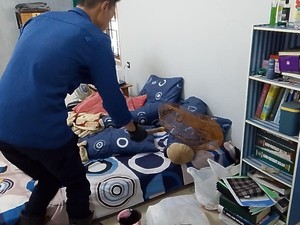 Kucing Liar dari Kuburan Acak-acak Rumah, Warga Kuningan Panggil Damkar
