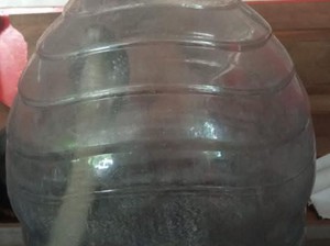 Mak Jegagik! Warga Cawas Klaten Ketemu Kobra 1,2 Meter Saat Wudu