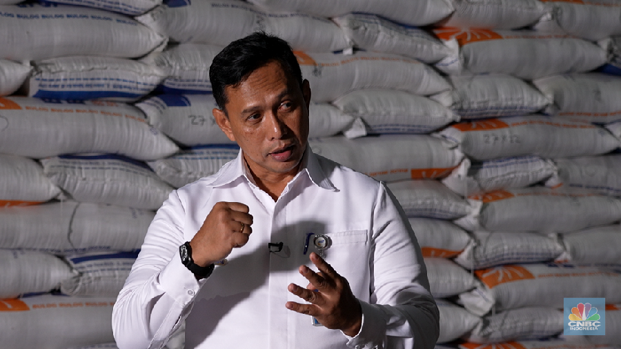 Direktur Utama Perum Bulog, Ahmad Rizal Ramdhani. (CNBC Indonesia)