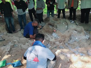 Fosil Gajah Purba Raksasa Ditemukan di Pegunungan Pandan Nganjuk