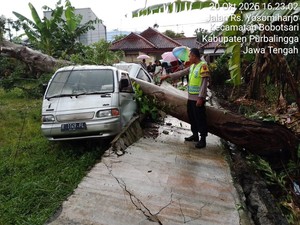 Brakk! Pohon Tumbang Timpa Mobil-Tembok Kantor Kecamatan di Purbalingga