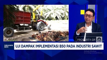 Video: Pengusaha Sawit Resah, HGU Belum Keluar - Pabrik Tanpa Kebun
