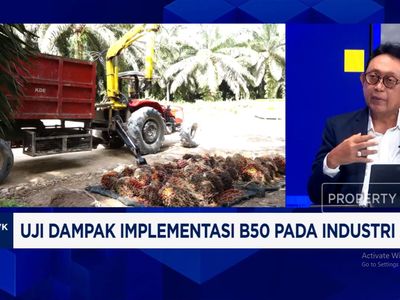 Video: Pengusaha Sawit Resah, HGU Belum Keluar - Pabrik Tanpa Kebun