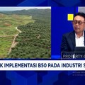 Video: Peremajaan Sawit Rakyat Terhambat, Produksi CPO Sulit Digenjot