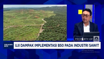 Video: Peremajaan Sawit Rakyat Terhambat, Produksi CPO Sulit Digenjot