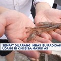 Video: Sempat Dilarang, Ribuan Kontainer Udang RI Kini Bisa Masuk AS