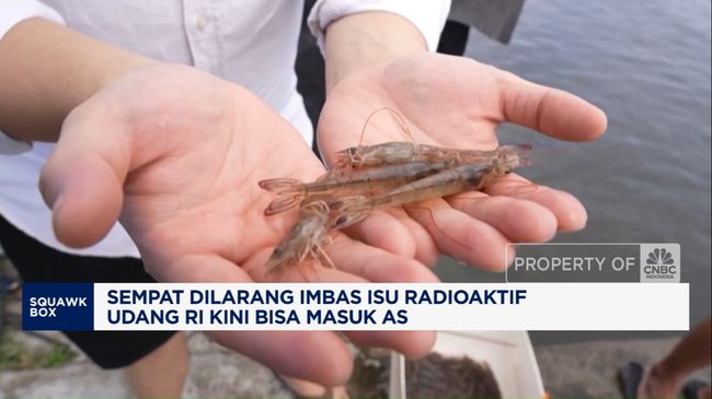 Video: Sempat Dilarang, Ribuan Kontainer Udang RI Kini Bisa Masuk AS