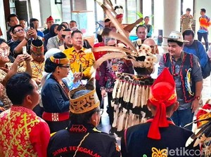 Ketua Adat Dayak Lundayeh Ungkap Ada Perusahaan Masuk Wilayah Hutan Adat