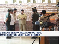Video: Wujud Uang Sitaan Korupsi CPO Ditumpuk Setinggi Lebih 2 Meter