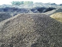 5 Sampah Ini Diam-Diam Jadi Harta Karun, Diburu di Luar Negeri