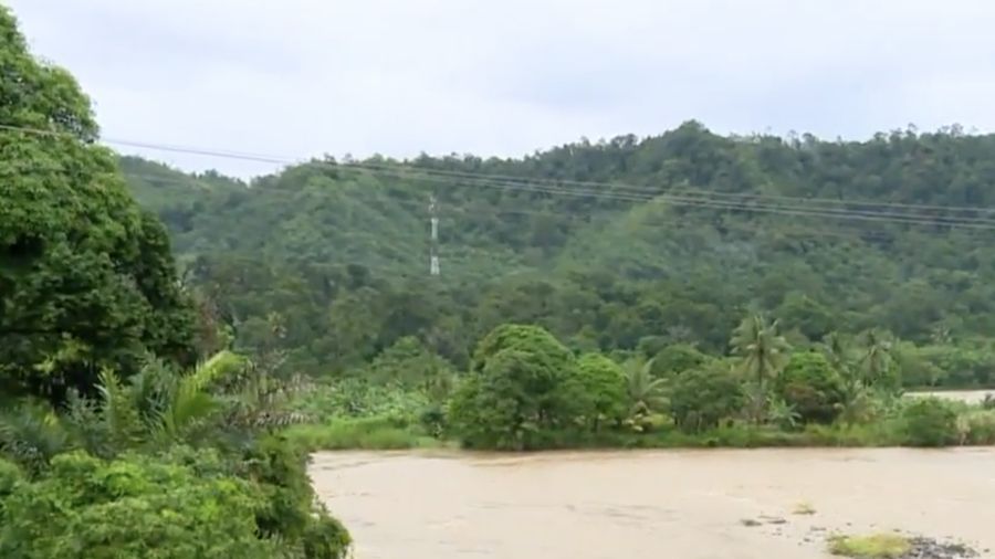 Kawasan hutan Batang Toru. (YouTube/CNN Indonesia)
