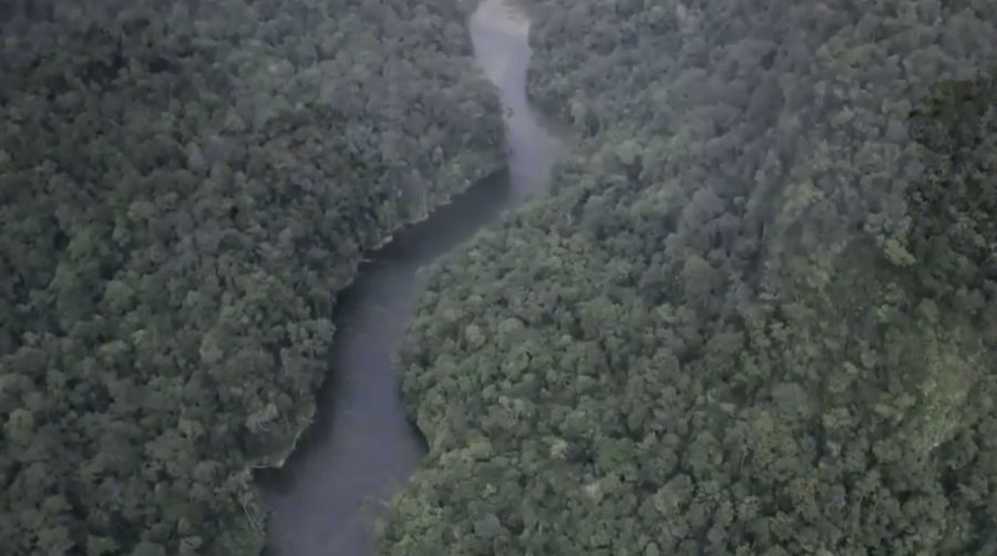 Kawasan hutan Batang Toru. (YouTube/CNN Indonesia)