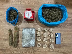 Simpan 2,6 Kg Ganja Siap Edar, Pria 55 Tahun di Batam Ditangkap