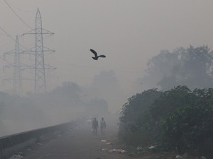 Tanam Pohon Saja Ternyata Tak Cukup Buat Atasi Polusi Udara
