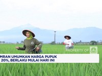 Video: Mentan Amran Ancam Tindak Distributor yang Naikkan Harga Pupuk