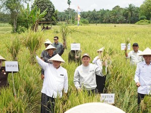 Sultan Serahkan Alsintan dan Benih Jagung untuk Petani di Mukomuko