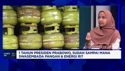 Video: Menuju Swasembada, Pemerintah Hadapi Tantangan Serius