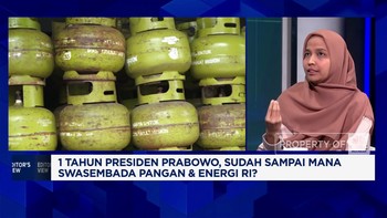 Video: Menuju Swasembada, Pemerintah Hadapi Tantangan Serius