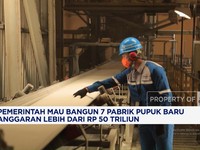 Video: Bangun 7 Pabrik Pupuk Baru, RI Butuh Lebih Dari Rp 50 Triliun
