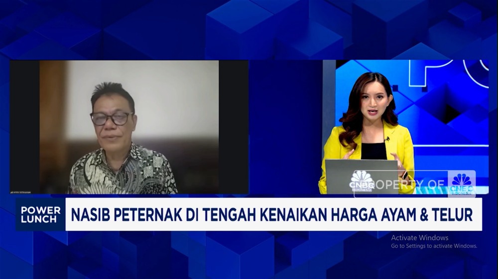 Harga Ayam Naik? Peternak Kirim Pesan ke Prabowo!